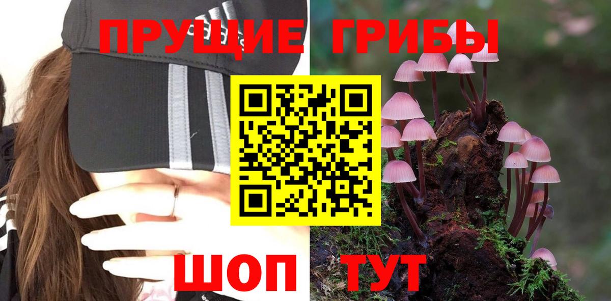Тамбов  Псилоцибиновые грибы ЛСД  Галлюциногенные грибы Psilocybine cubensis  Вход с VPN 